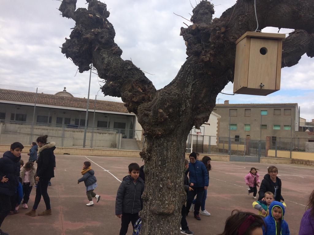 Foto enviada per Olga3