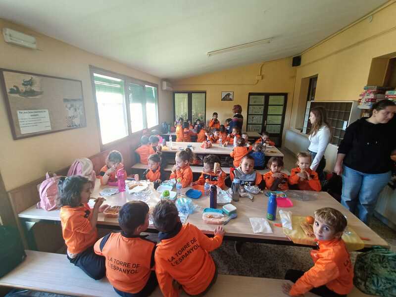 b001e703-e491-43eb-be56-558178e147f5