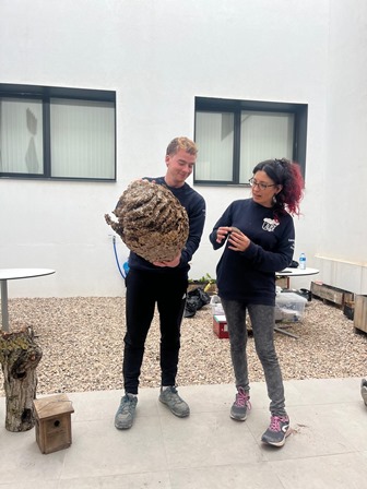 5d5d39f1-0771-43ab-8928-5eea8370d507