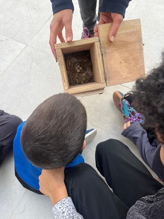 cc8d6bce-3d62-40a4-84d2-58aa06157888