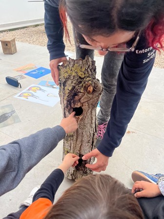 d8bd8578-3c78-43f7-8334-8e417e973e85