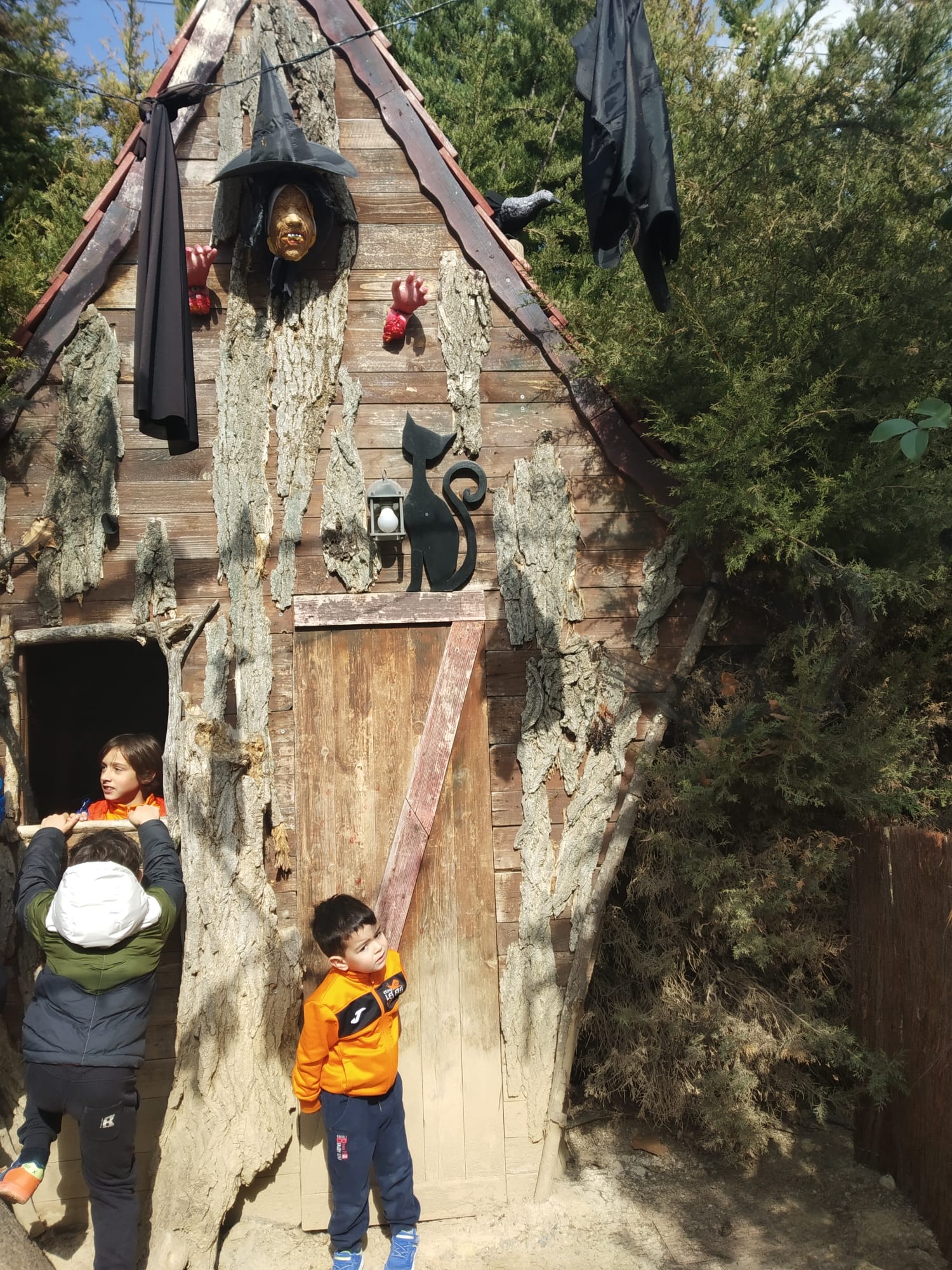 3c605c1c-675c-4663-a759-cde1f1b942a2