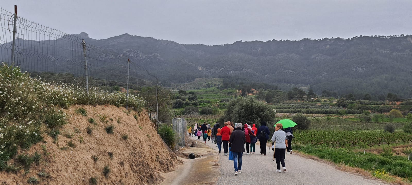 49ba4e2f-9250-494c-973d-aeff0ceaa099