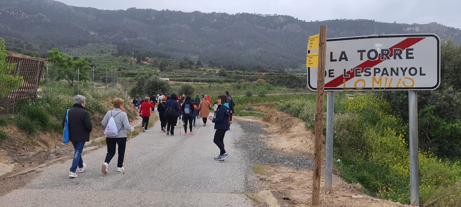 8dd5fe6f-b539-47bb-b1c4-f7a383671080